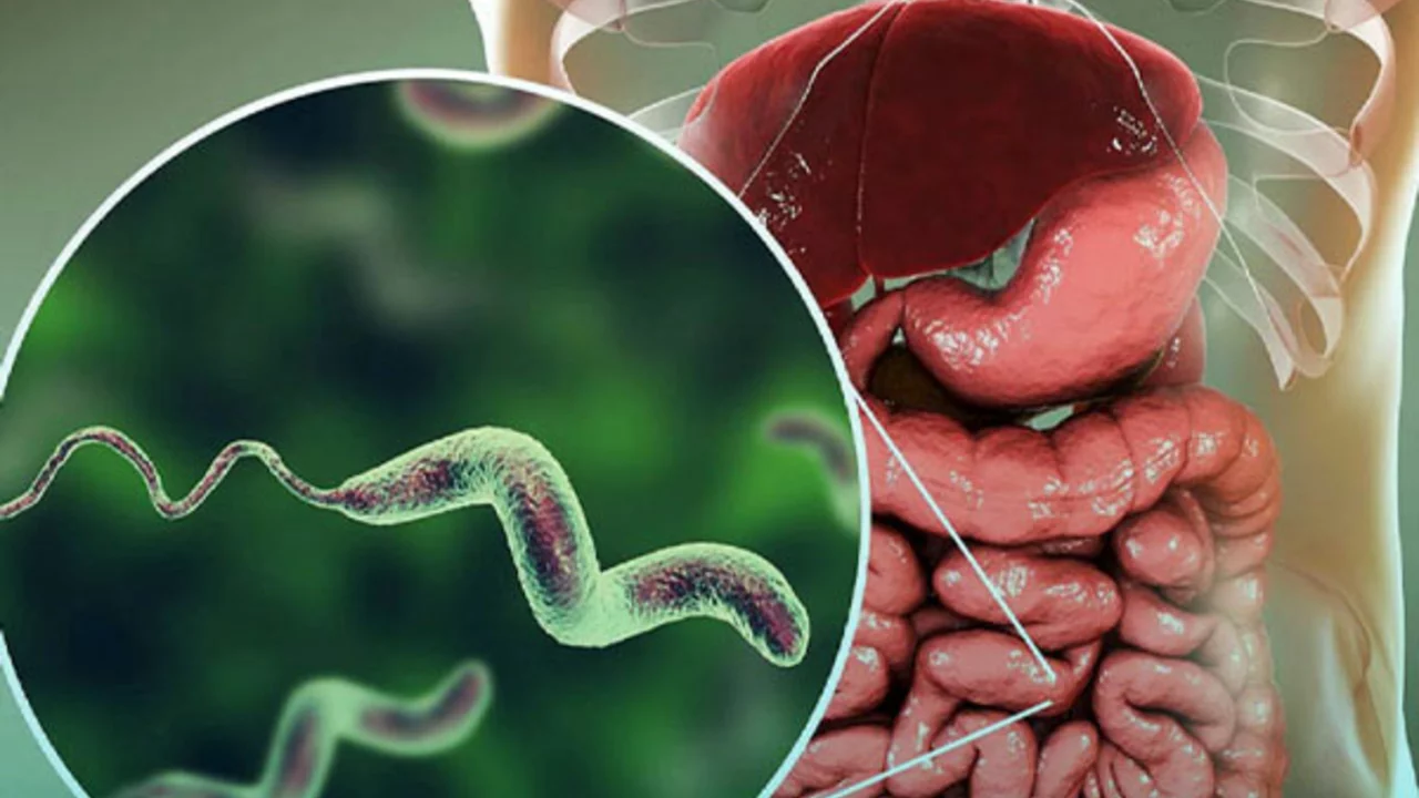 The Connection Between Diarrhea and Parasites: Prevention and Treatment